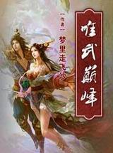 唯武巅峰封面