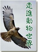 �߽���������